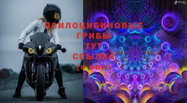 ECSTASY Абаза