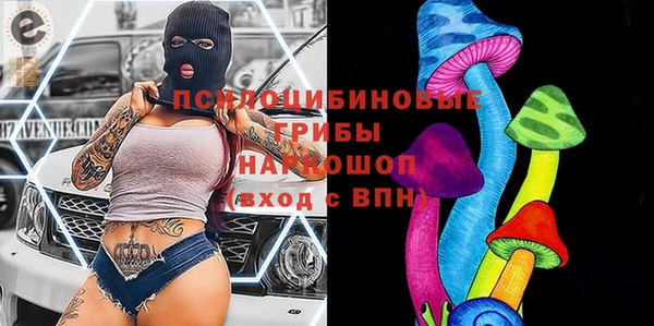 ECSTASY Абаза