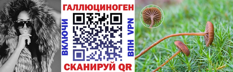 hydra как войти  Руза  Галлюциногенные грибы мицелий  цена наркотик 